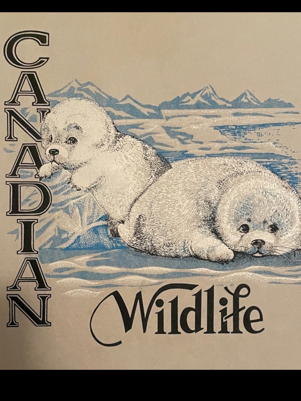 Canadian Wildlife Seal Pups Art Print Textured Paper 18x14